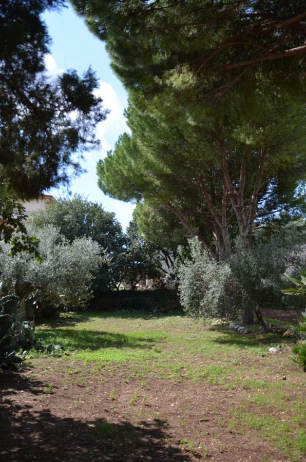 מודיקה Villa Alchea Locazione Turistica מראה חיצוני תמונה